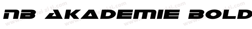 NB Akademie Bold Italic字体转换
